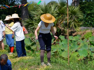 SS Rice News Convention 2025, Pattaya - Thailand